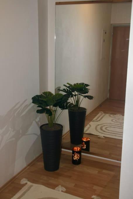 Jasmine Apartment - Free Parking - City Center - Skibus - Tatralandia 5Km Liptovský Mikuláš Extérieur photo